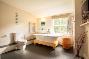 Photo 12- click for photo gallery